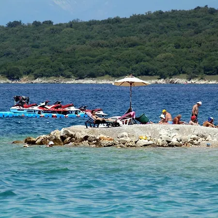 5458a נייביצה